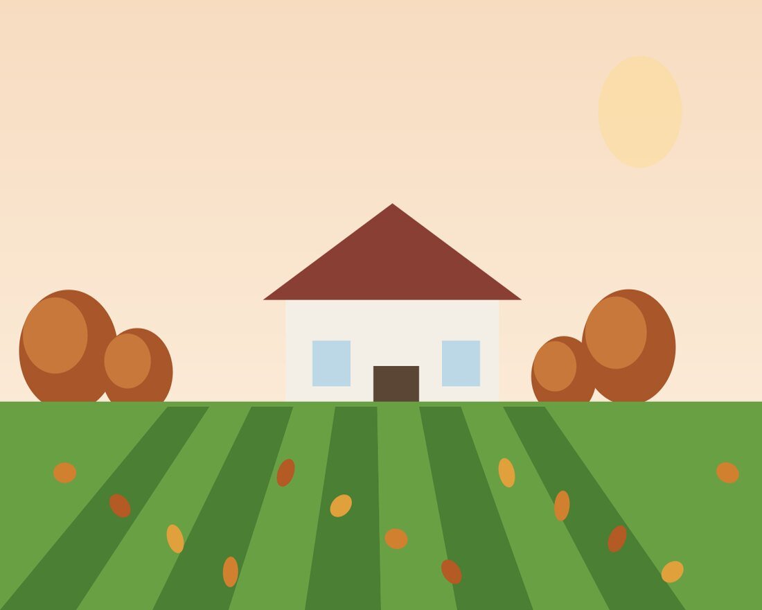 An autumn property after a full leaf cleanup